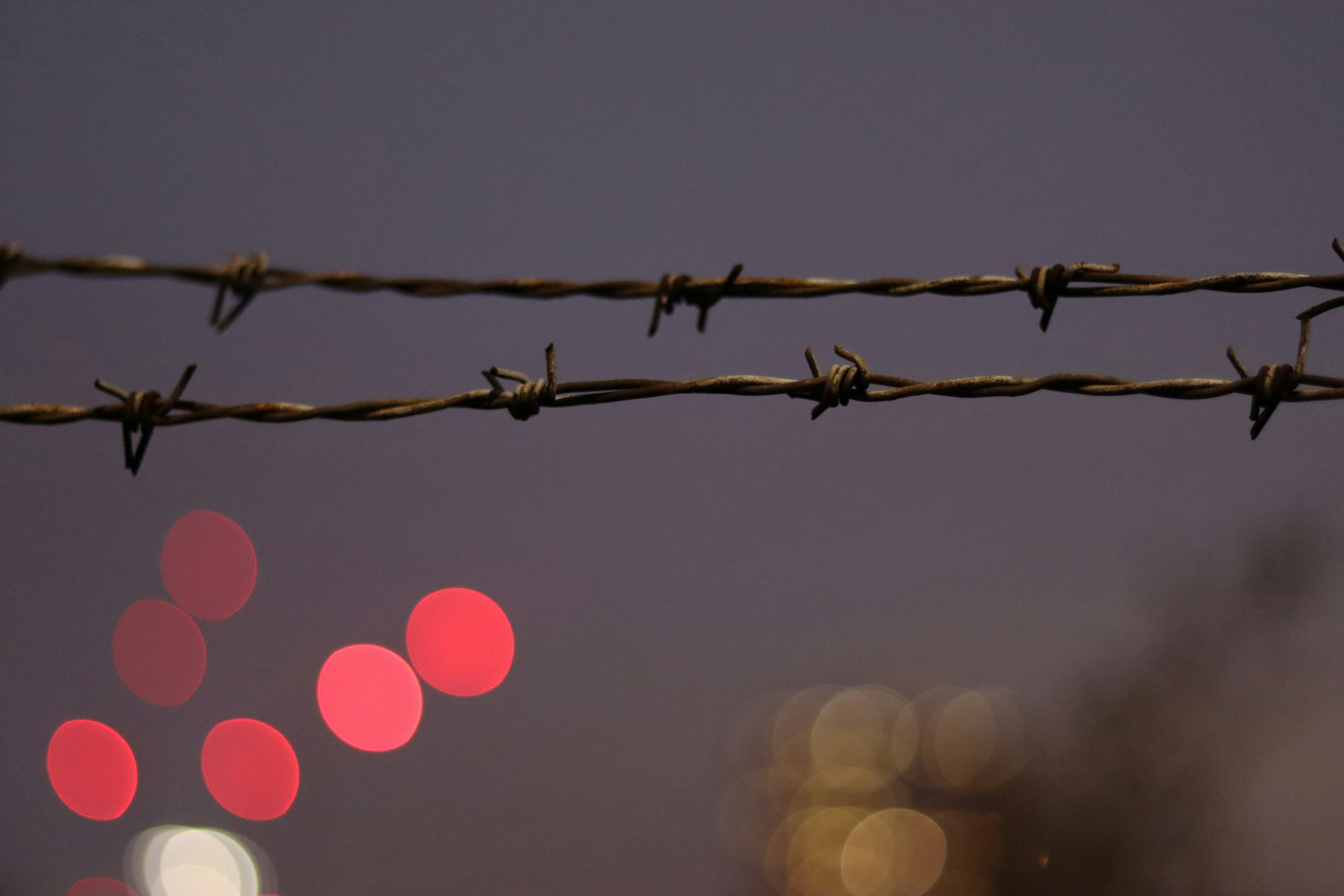 gray barb wire